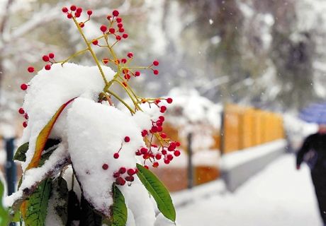 强冷空气来袭 新疆多地迎来降雪