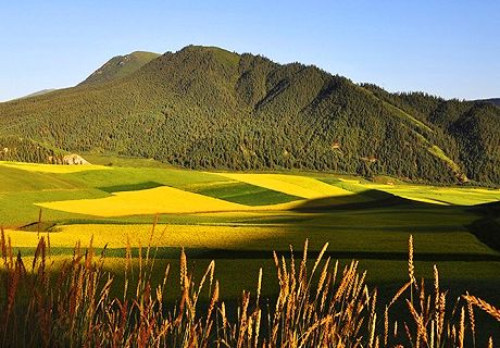 甘肃省强化矿山地质环境保护