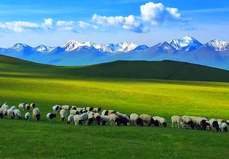 新疆伊犁那拉提，日色照临之谓，雪山深邃，得见日色