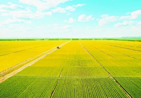 宁夏农产品质量安全追溯体系“落地生花”