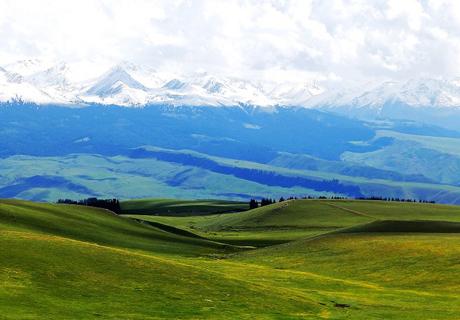 新疆伊犁喀拉峻草原，降水丰富，气候凉爽，土质肥厚