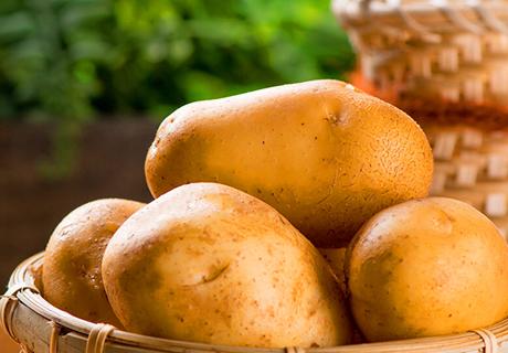 宁夏固原隆德马铃薯土豆新鲜生鲜蔬菜西北农家地理农产品