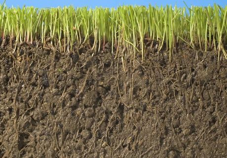 土壤有机质肥力的七大作用？
