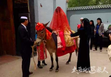 青海撒拉族婚礼-研究突厥古代文化的活化石