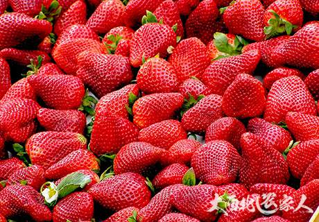草莓冬季覆盖方法推荐