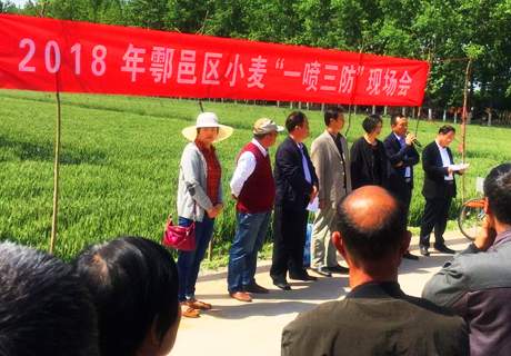 陕西西安鄠邑区农业局召开2018年小麦“一喷三防”现场会