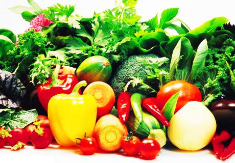 菜农种植蔬菜施肥过量出现的生理病害症状