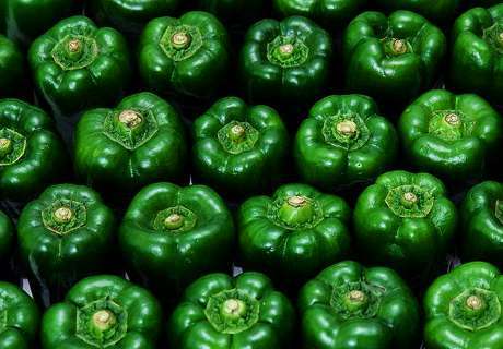 菜农种植青椒，近期如何施肥呢？