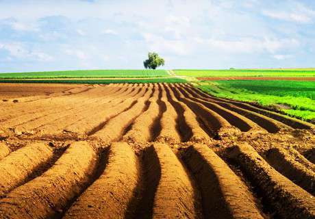 种植农作物土壤发生板结现象，如何改良？