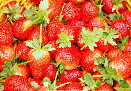 果农种植草莓，先了解需肥特点，果实才长得旺！